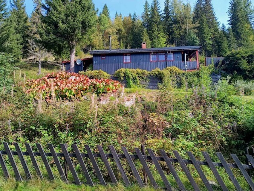 Bilde tatt av selger. Galleribilde