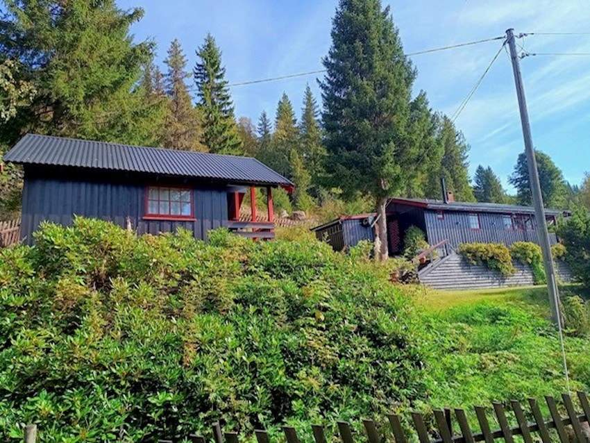 Bilde tatt av selger. Galleribilde