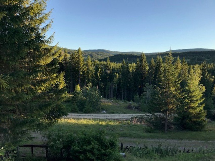 Bilde tatt av selger. Galleribilde