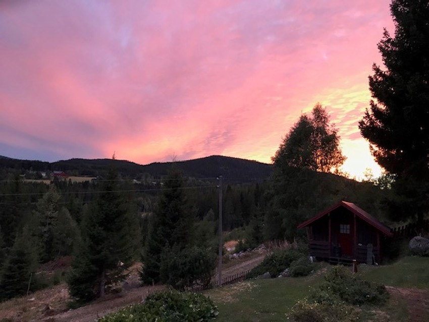 Bilde tatt av selger. Galleribilde