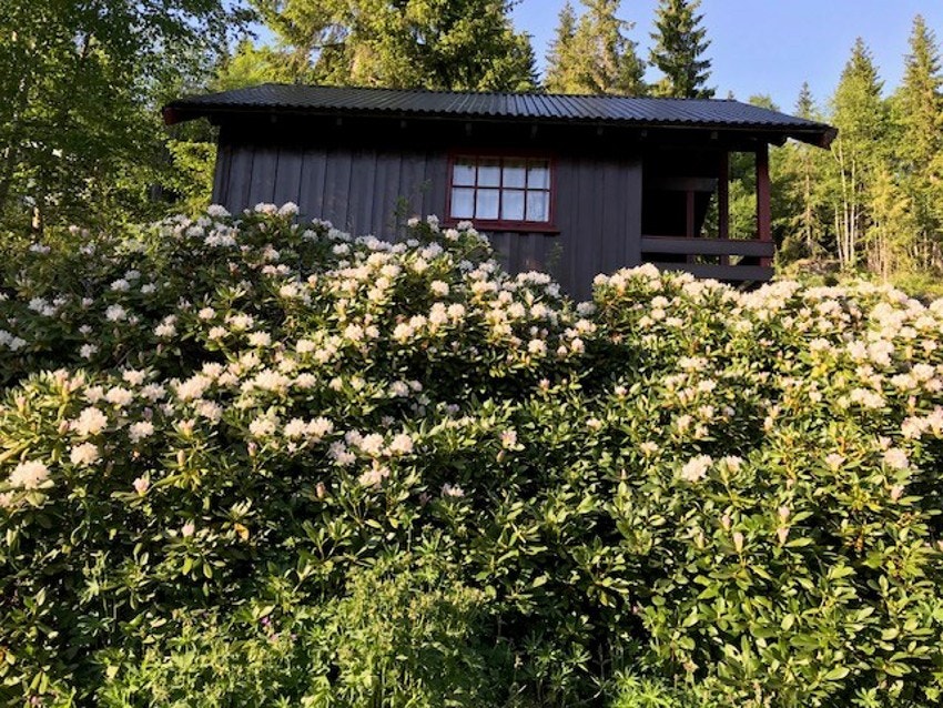 Bilde tatt av selger. Galleribilde