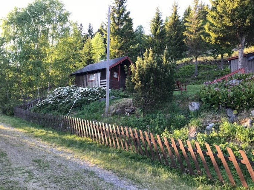 Bilde tatt av selger. Galleribilde