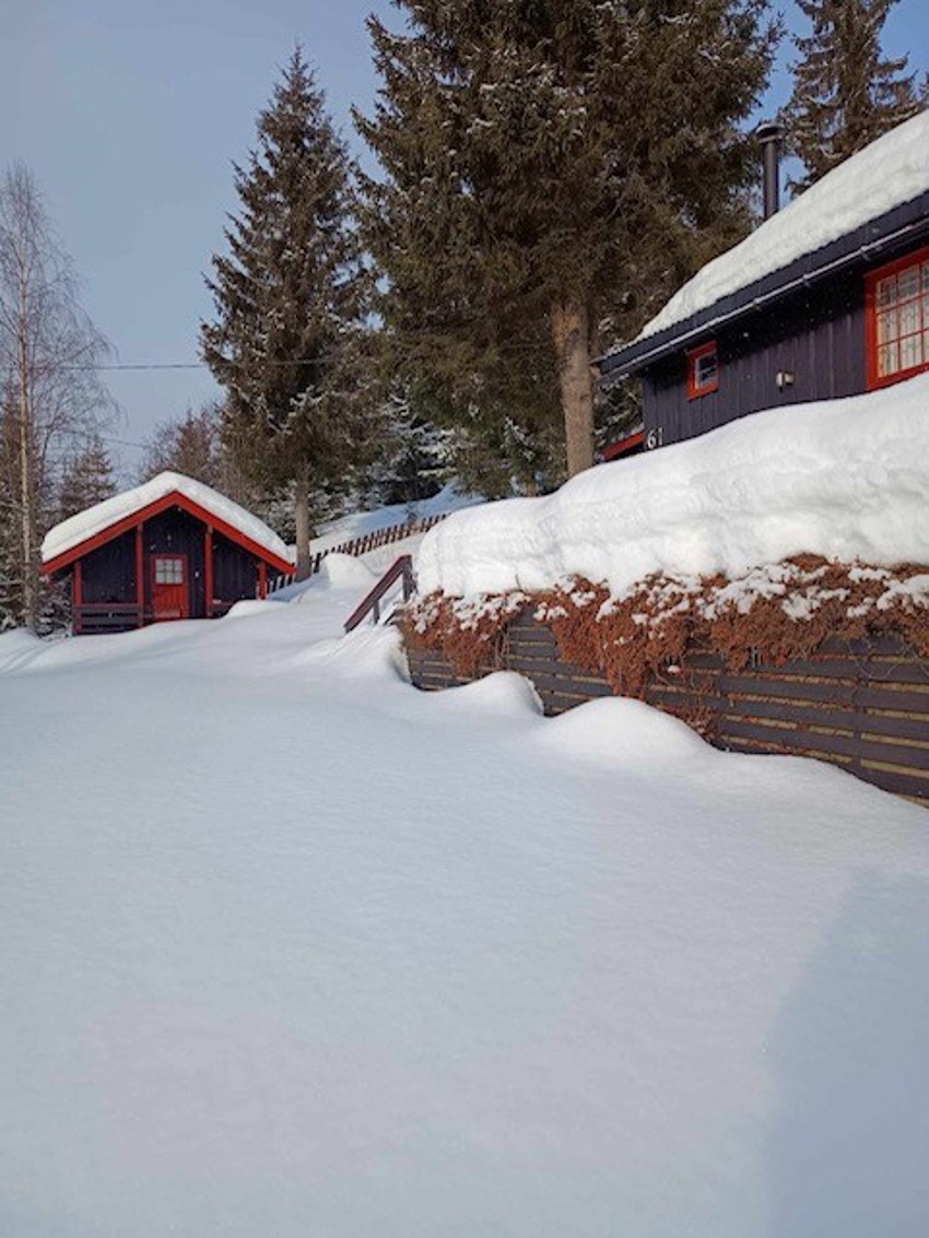 Bilde tatt av selger. Galleribilde