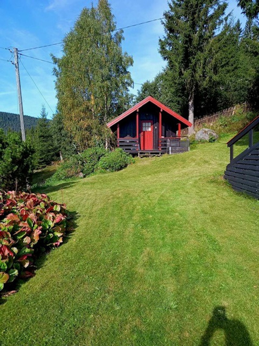 Bilde tatt av selger. Galleribilde