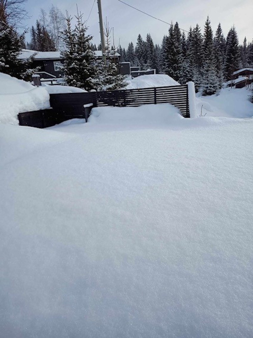 Bilde tatt av selger. Galleribilde