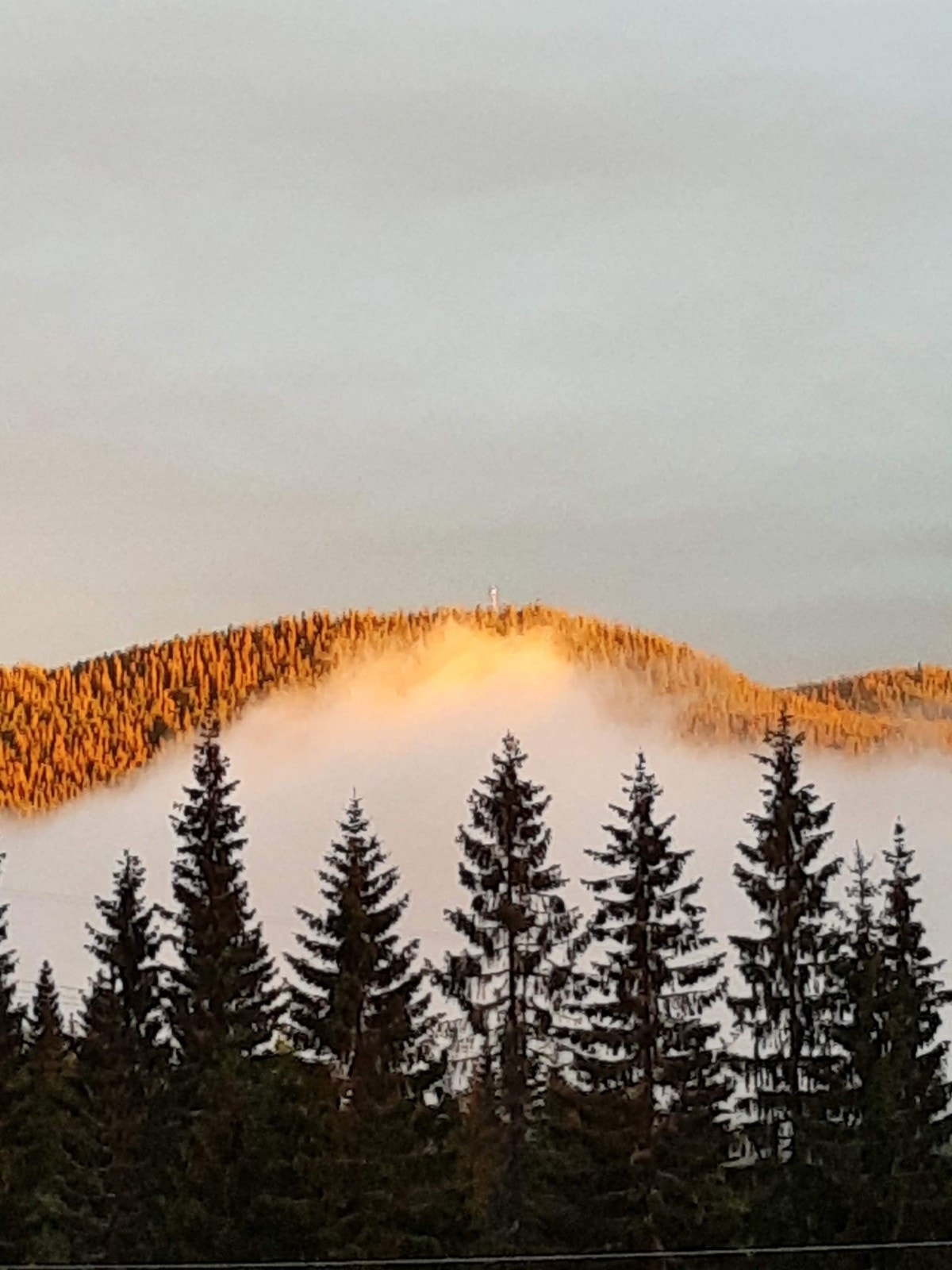 Bilde tatt av selger. Galleribilde