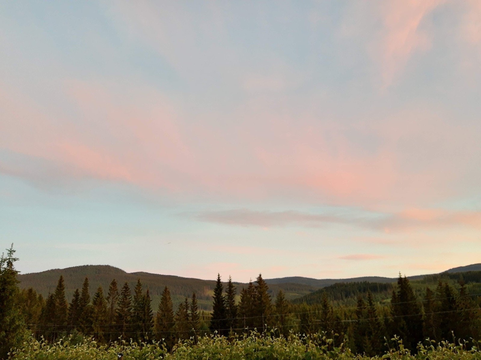 Bilde tatt av selger. Galleribilde