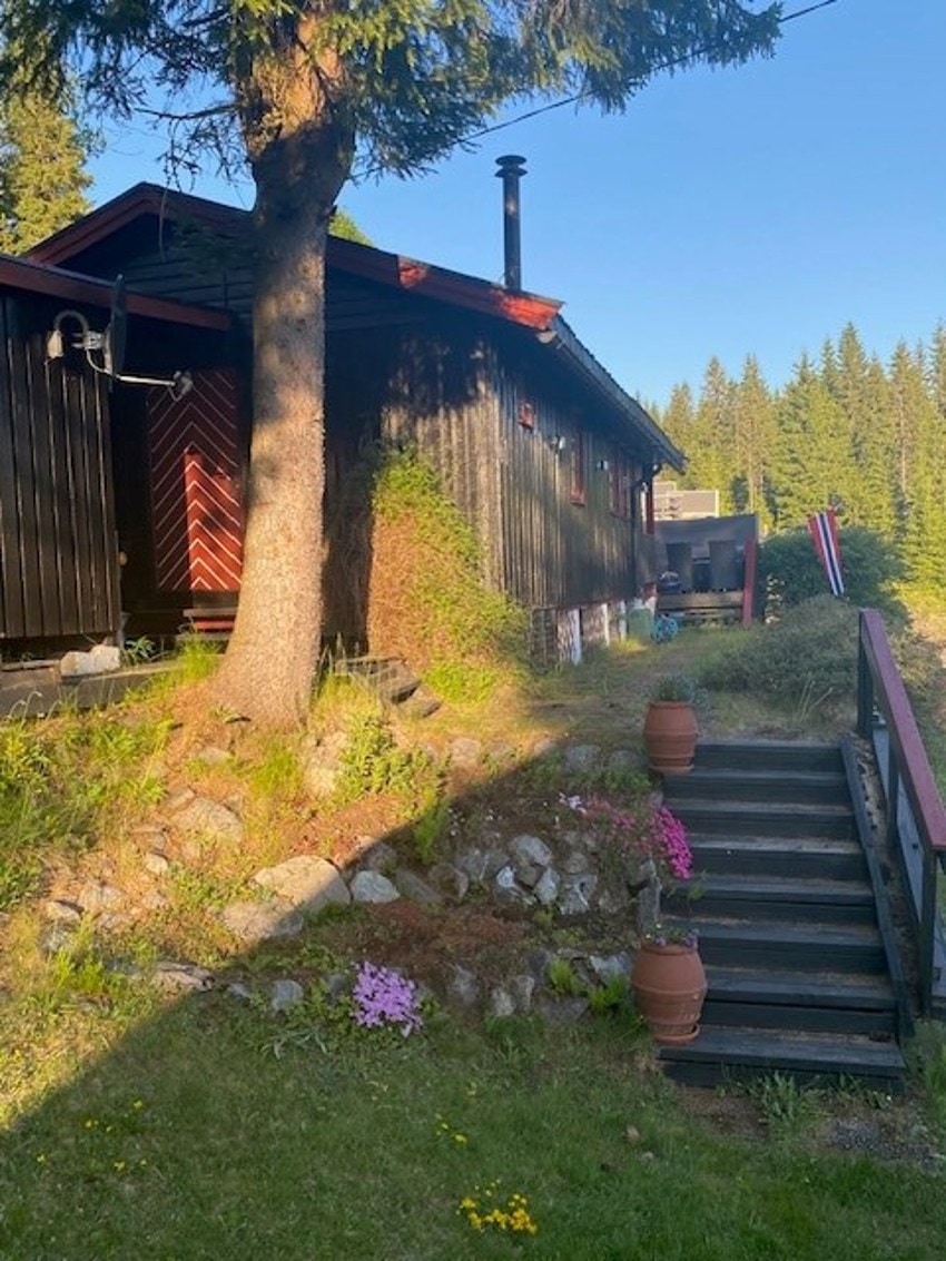 Bilde tatt av selger. Galleribilde