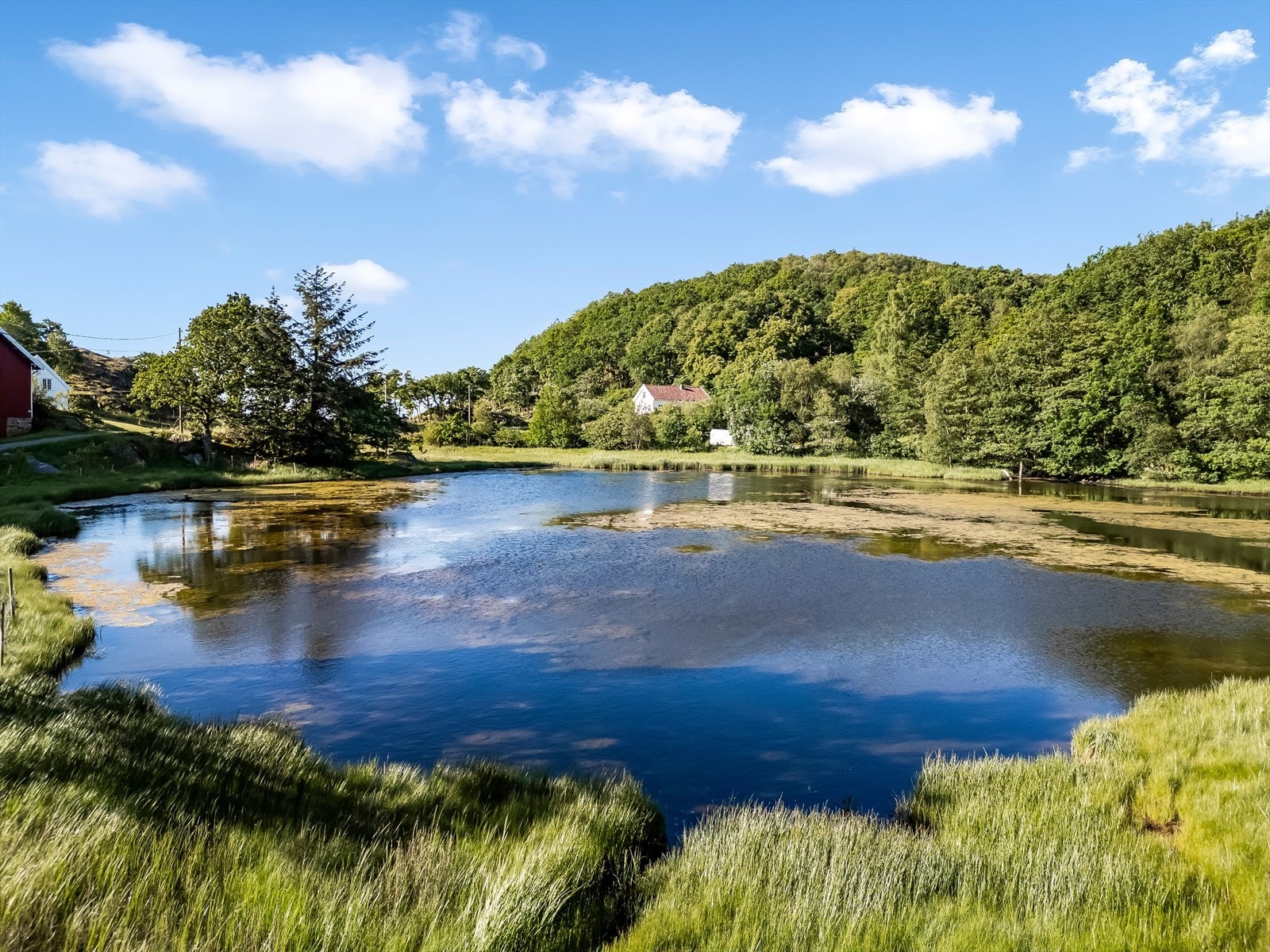 Naturskjønt nærområde med flere fine turmuligheter. Galleribilde