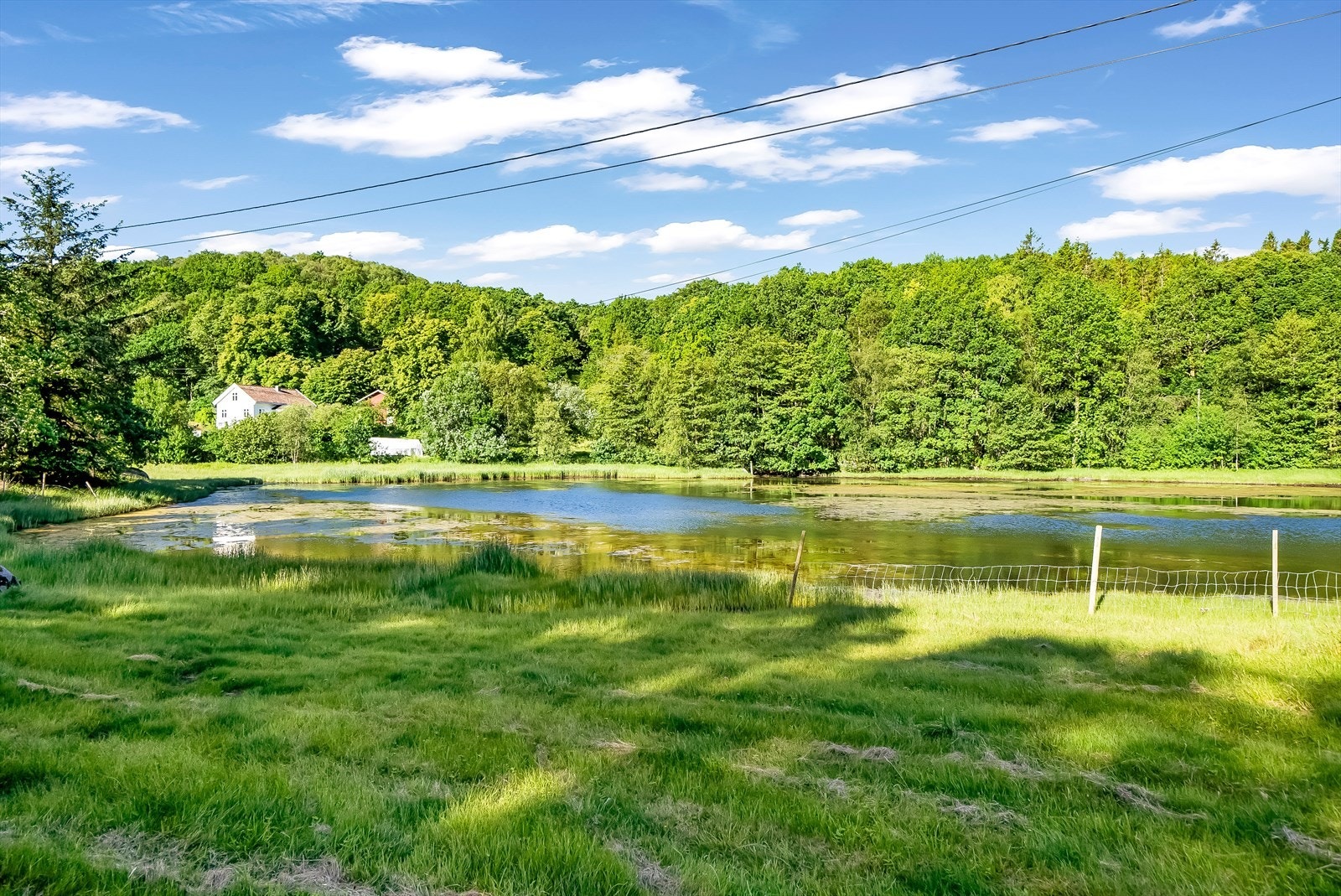 Utsikten sett fra boligen. Galleribilde