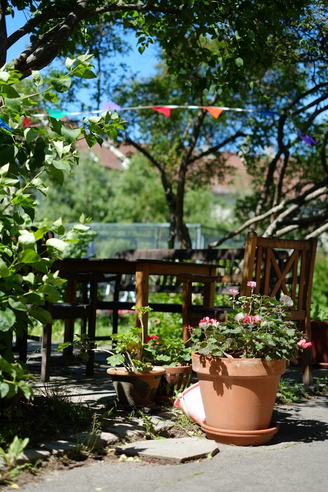 Rolig og romantisk bygård. Barnevennlig. Galleribilde