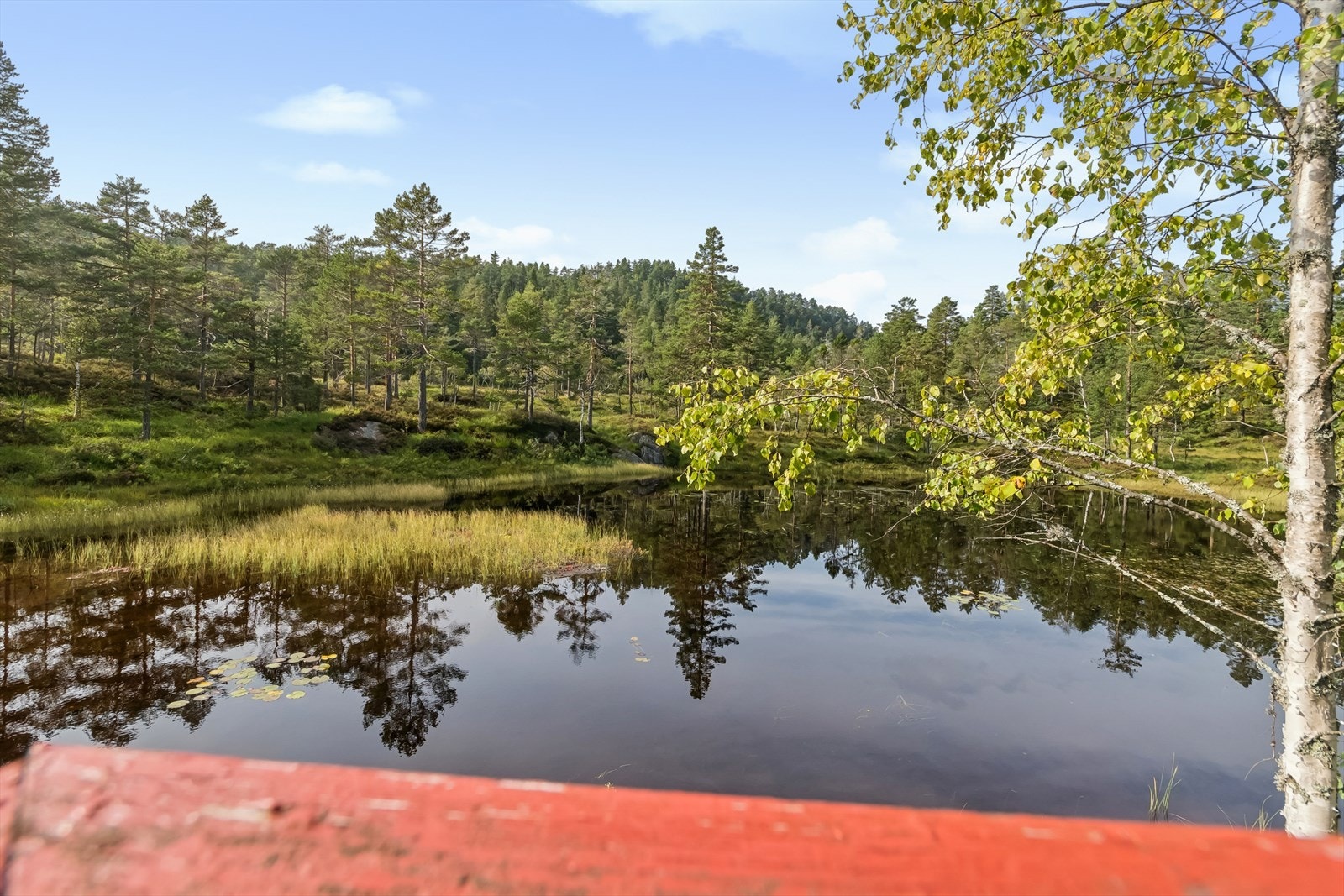 Idylliske utsiktsforhold! Galleribilde