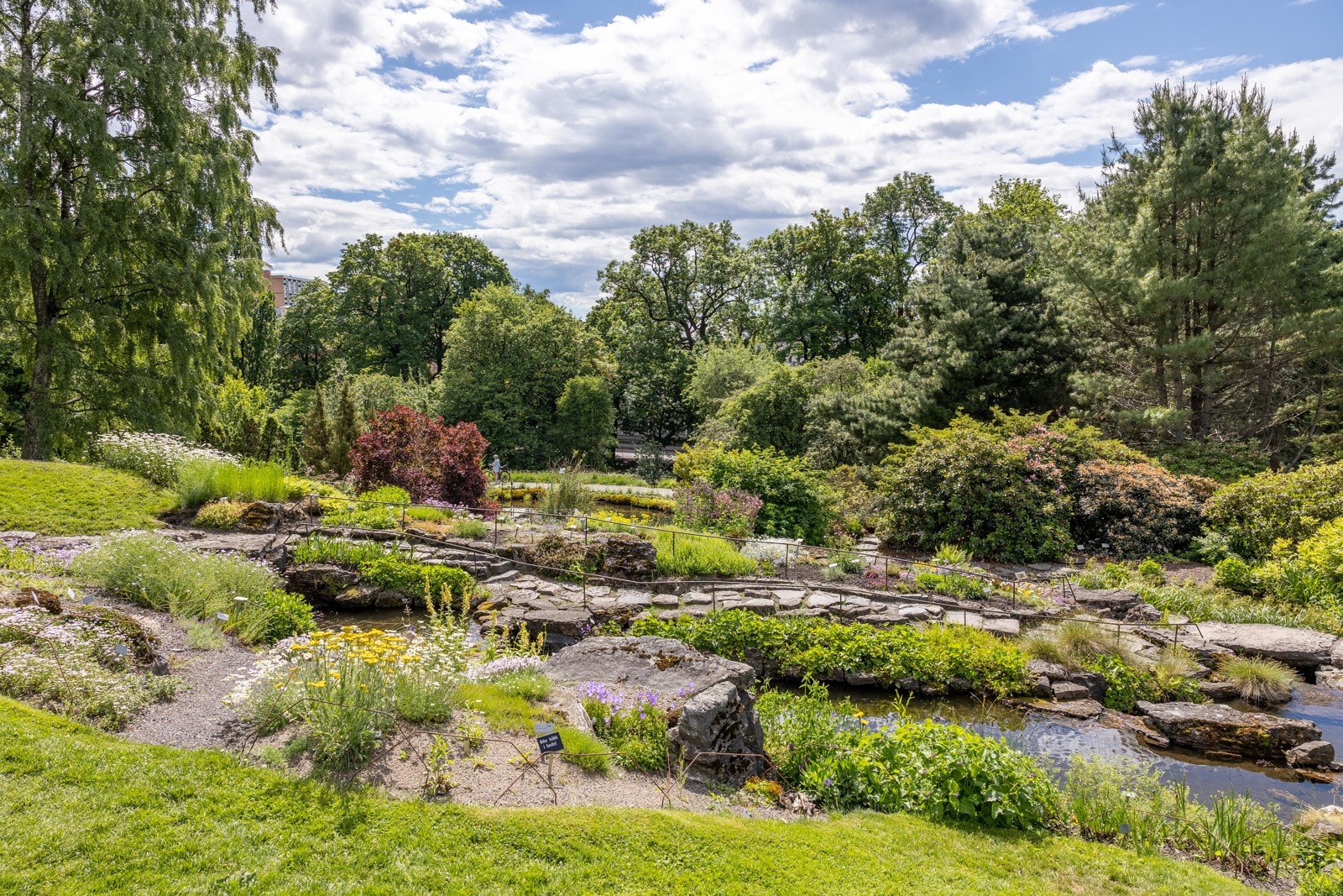 Botanisk hage ligger rett over gaten. Galleribilde