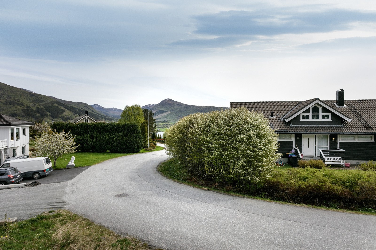Utsikt nedover feltet. Galleribilde