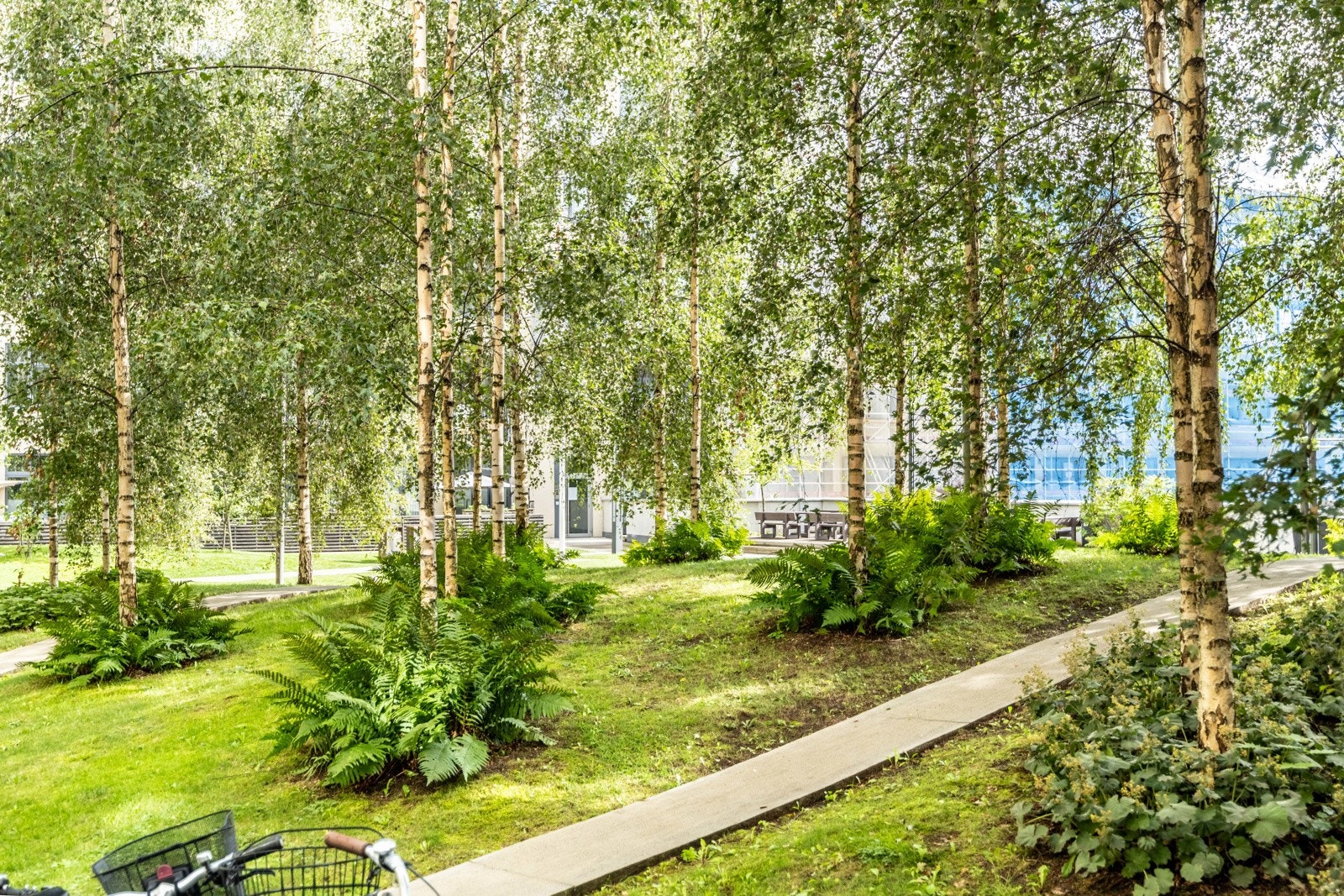 Nærområdet. Galleribilde