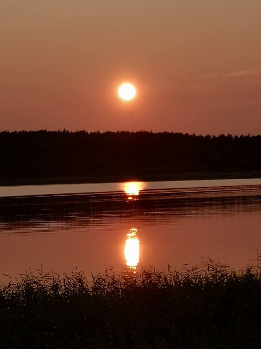 Selgers stemningsbilder Galleribilde