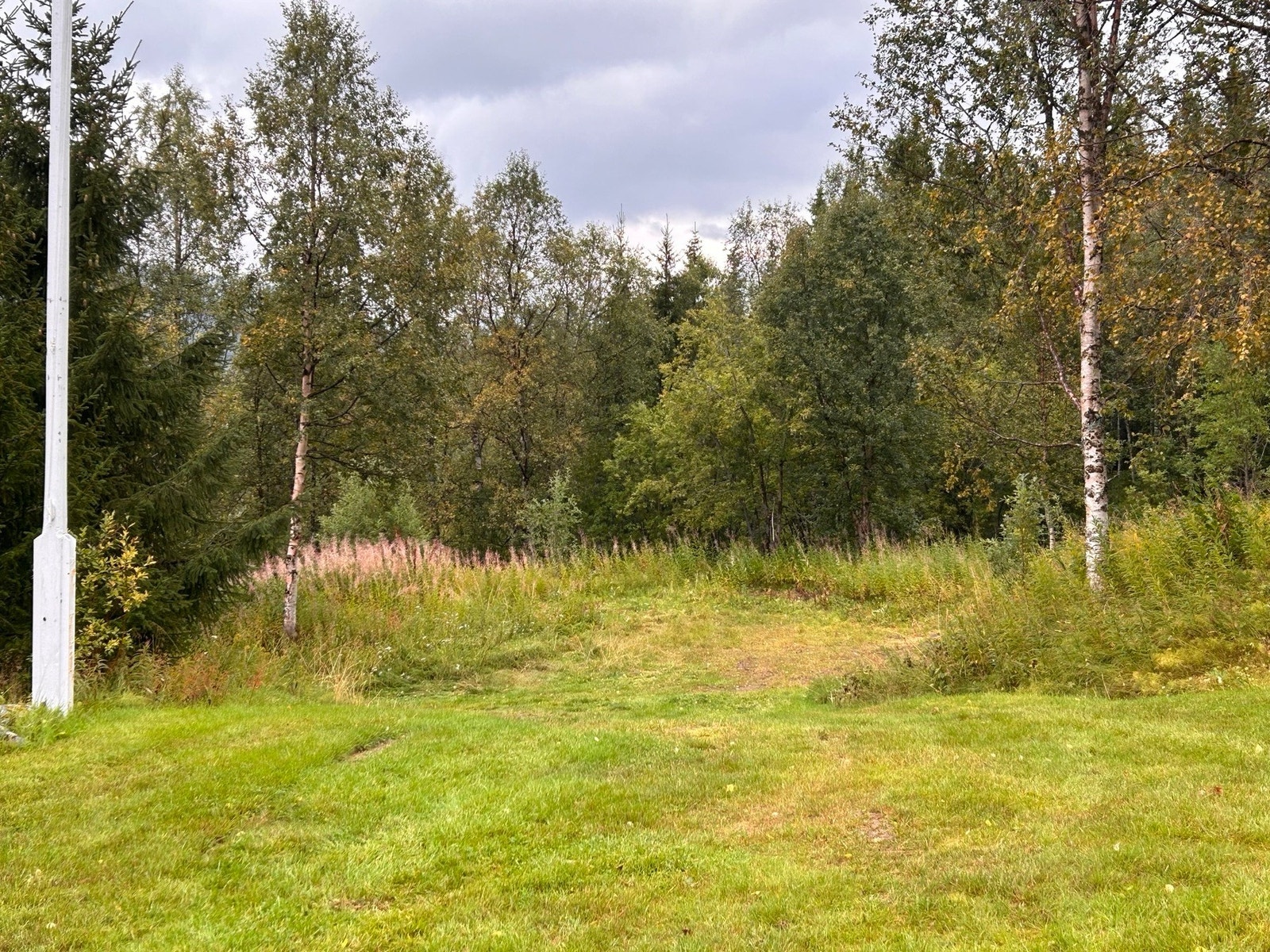 God parkering på tomta Galleribilde