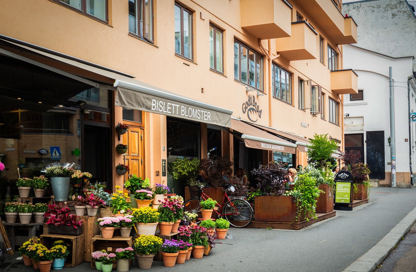 Nærområdet. Galleribilde