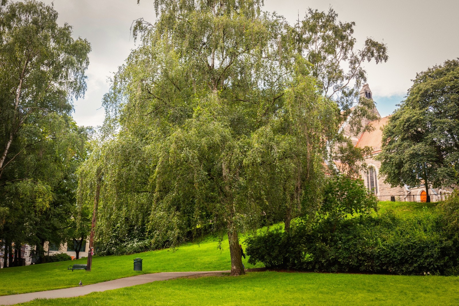 Stensparken ligger like i nærheten og er et fint samlingspunkt på sommerstid om du er glad i parklivet. Galleribilde