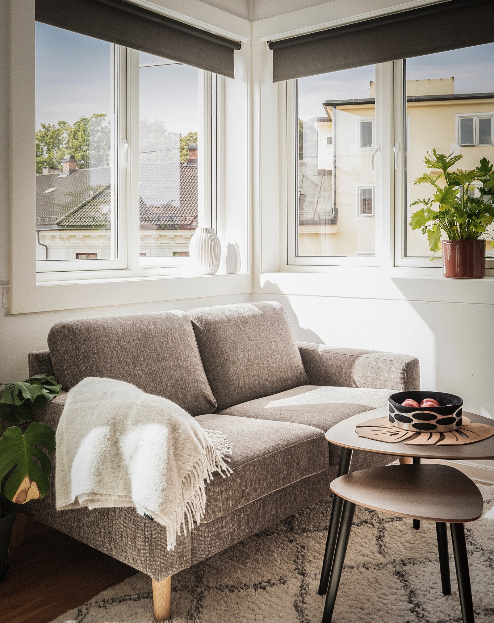 Nye vinduer i 2022. Galleribilde