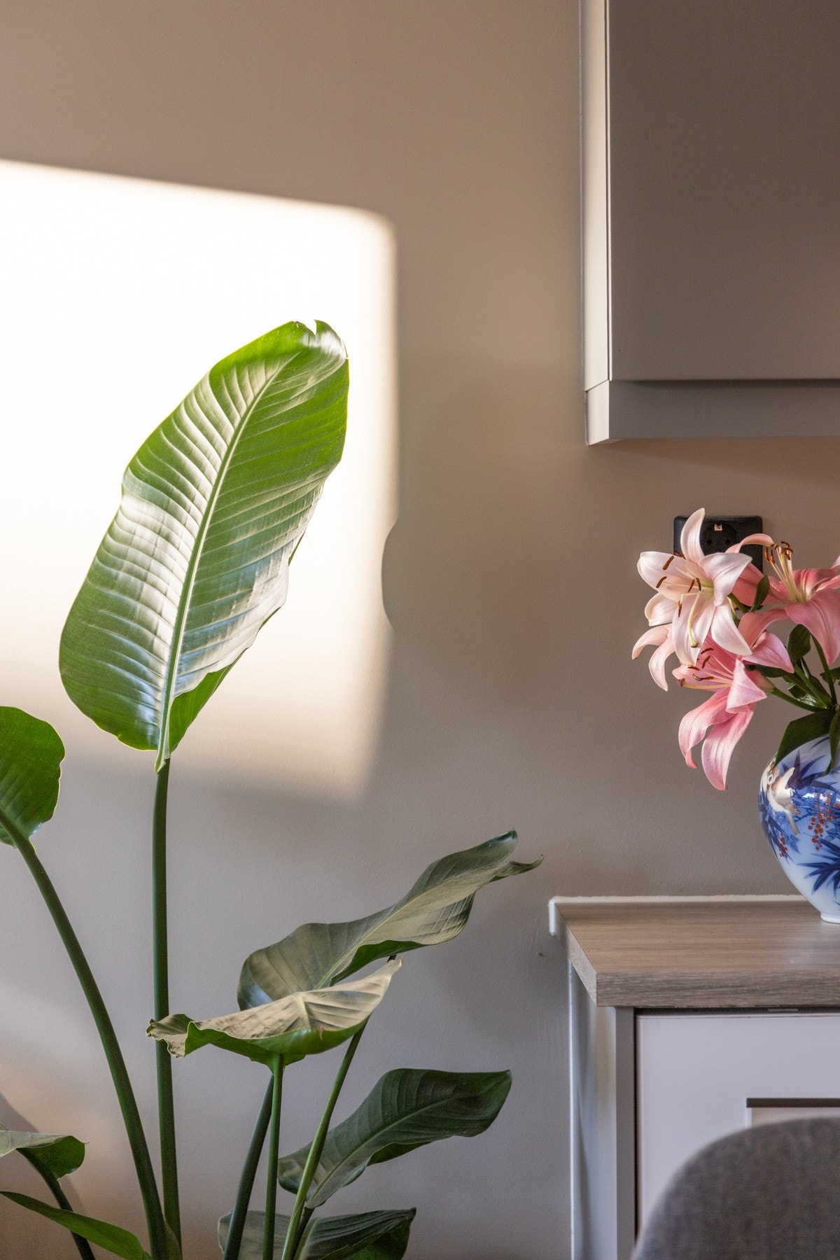 Det er montert komfyrvakt og waterguard, samt kjøkkenventilator med avtrekk ut. Galleribilde