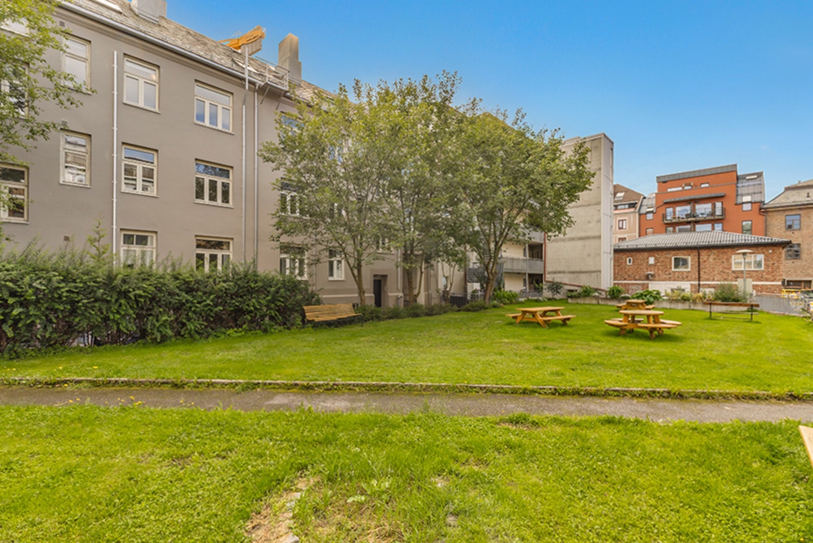 Felles grøntareal i bakgården som er perfekt for sommerhalvåret. Galleribilde