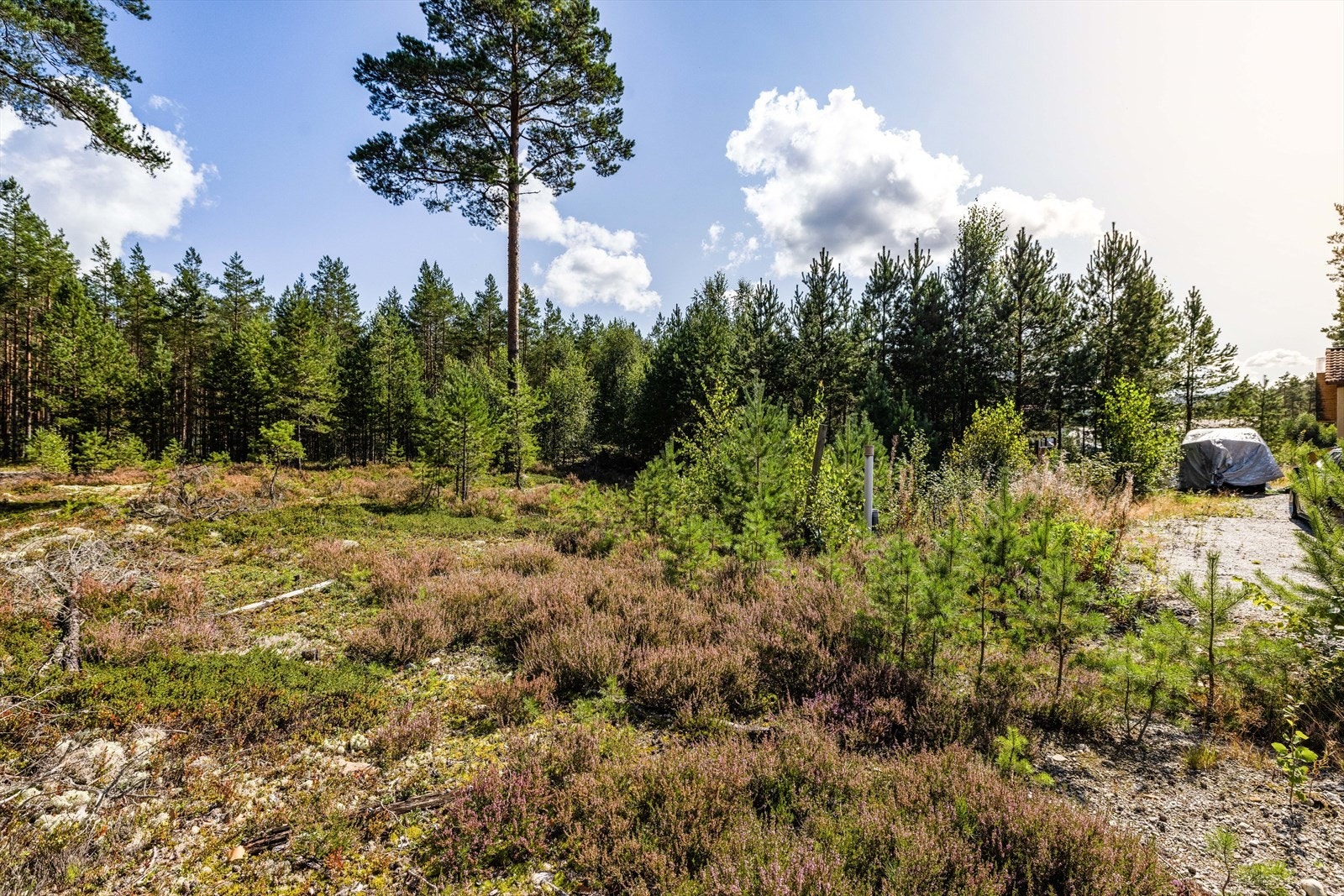 Tomten ligger i landlige omgivelser med flotte turområder i nærområdet. Galleribilde