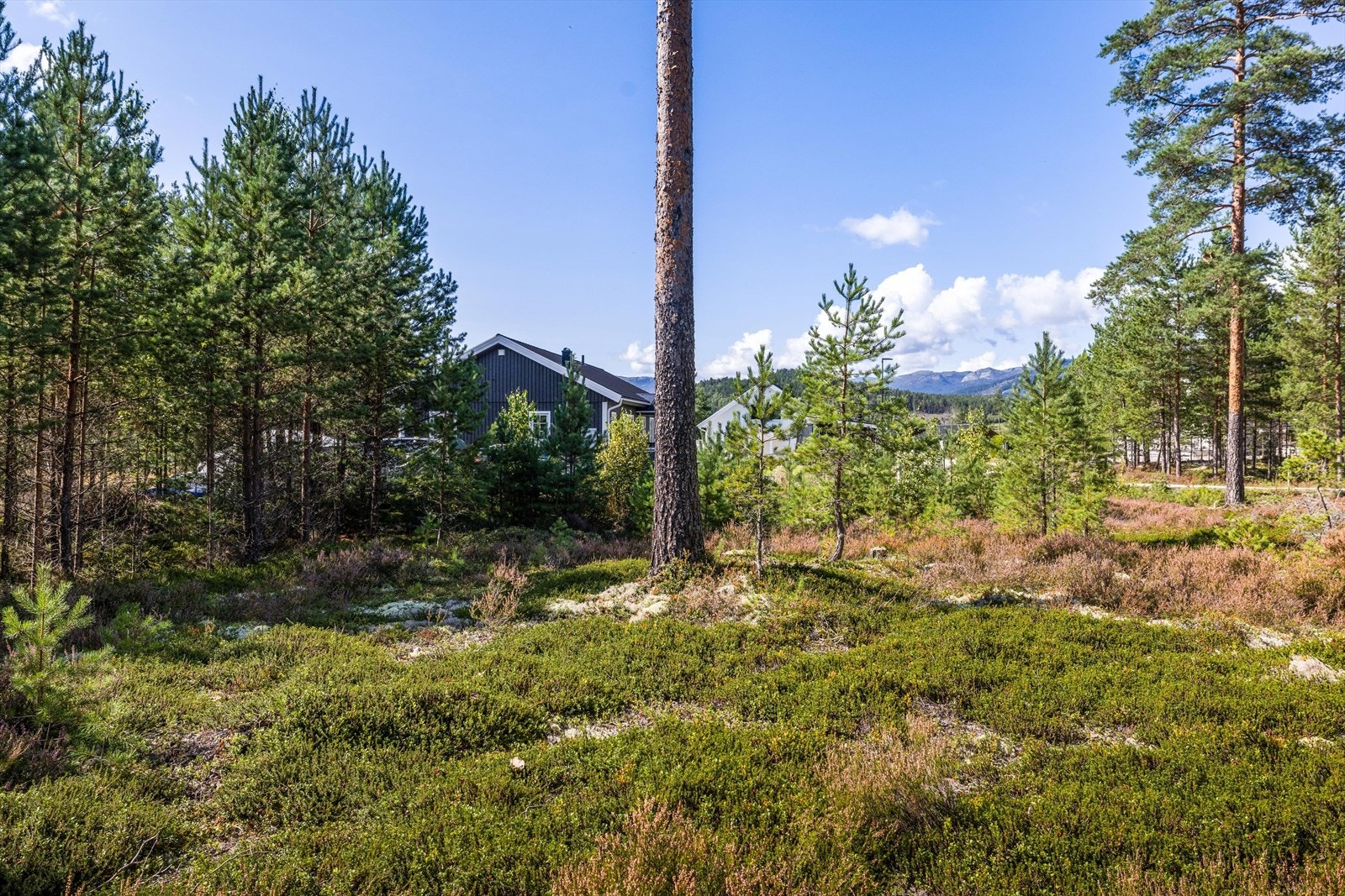 Det er bilvei helt frem. Her er det umiddelbar nærhet til flotte turområder, og fine badeplasser oppover langs elva. Galleribilde