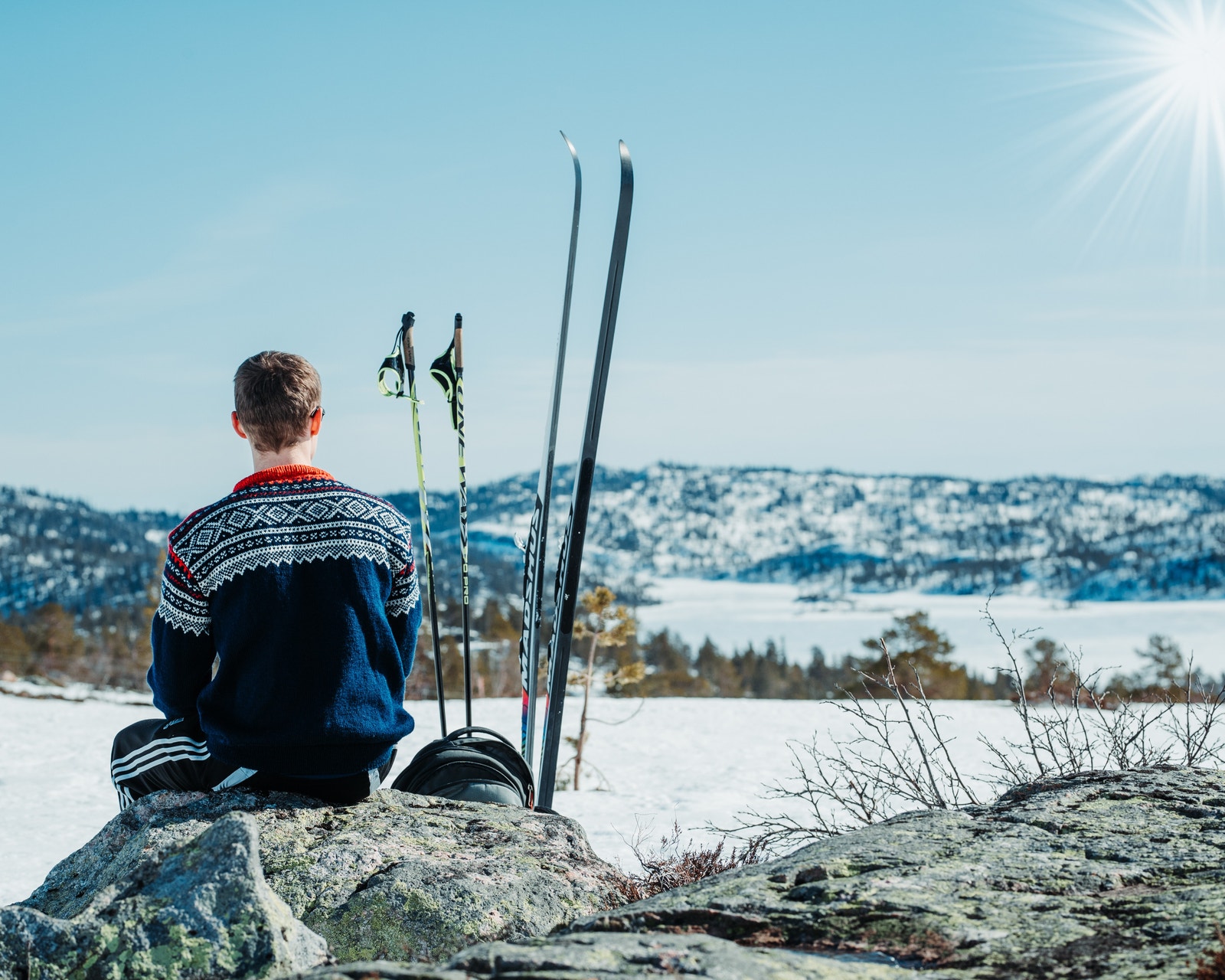 Bilde fra tomte området. Galleribilde