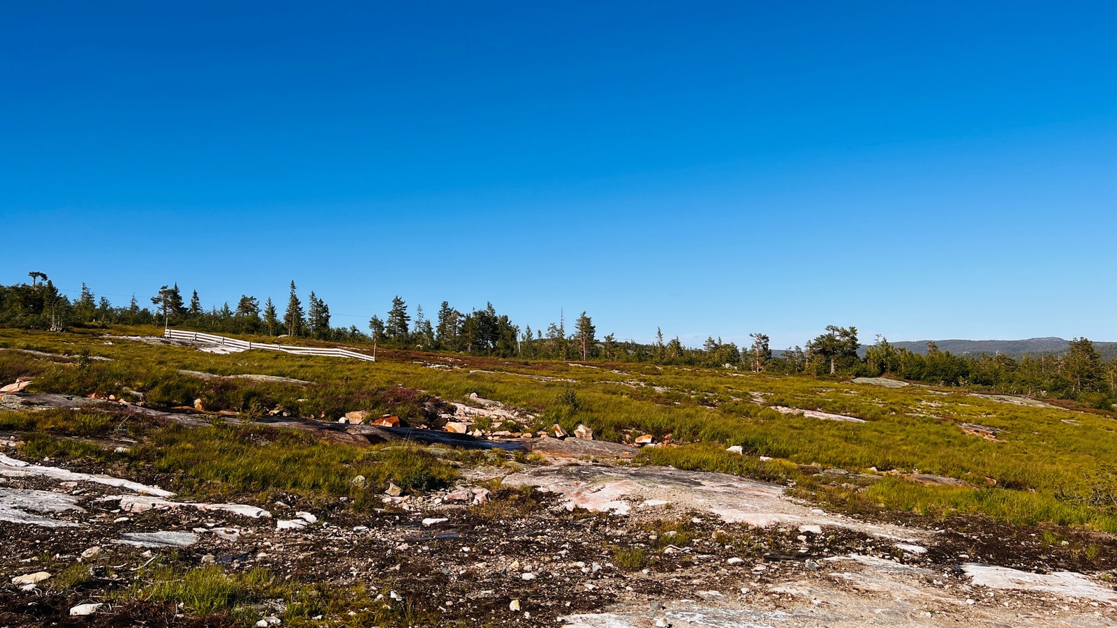 Bilde fra tomte området. Galleribilde