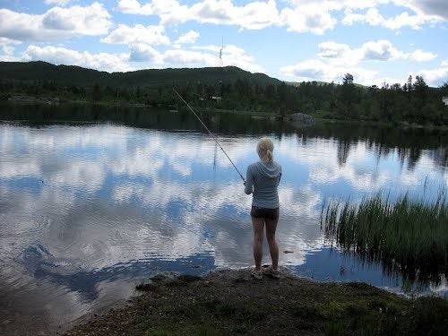 Bilde fra tomte området. Galleribilde