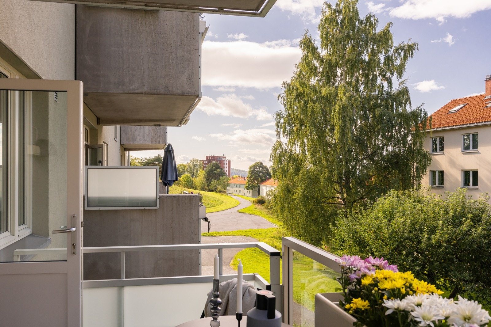 Hasleparken nærmeste nabo. En stille og skjermet park på 10 dekar med panorama utsikt over byen. Galleribilde