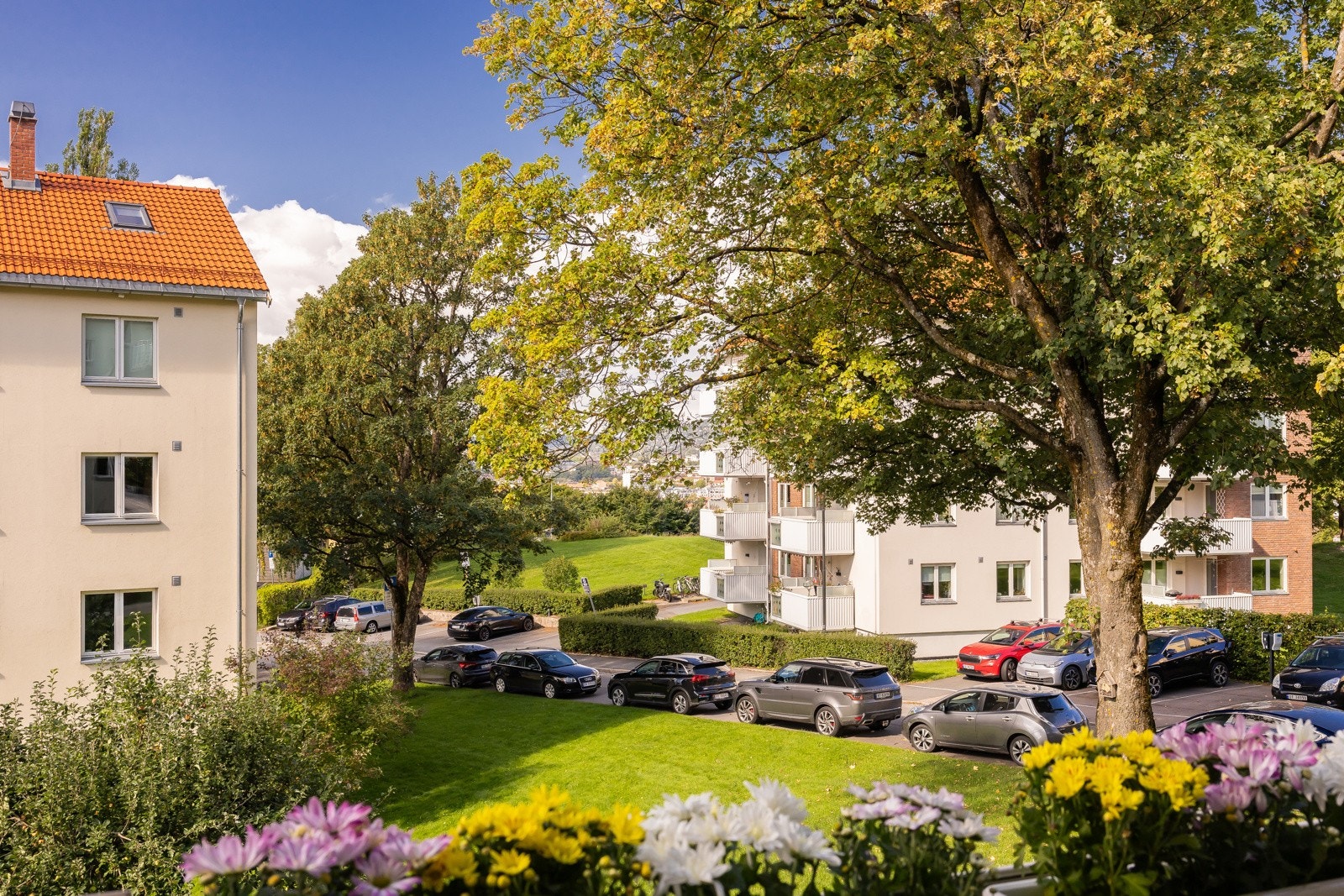 Utsyn over et av Keyserløkkas frodige fellesareal. Galleribilde