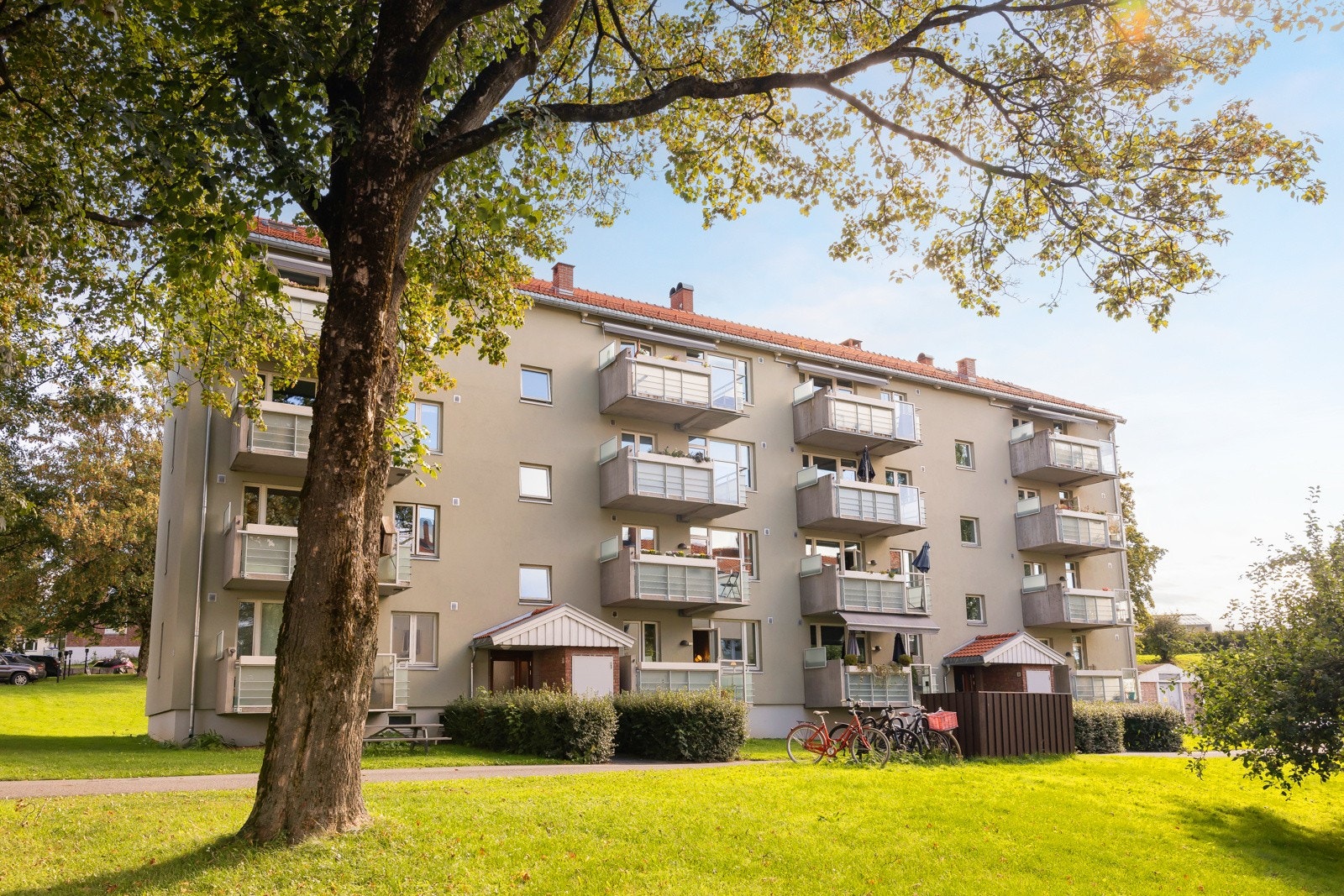 Rikelig med boltreplass på store friareal på område, også rett utenfor boligen. Galleribilde