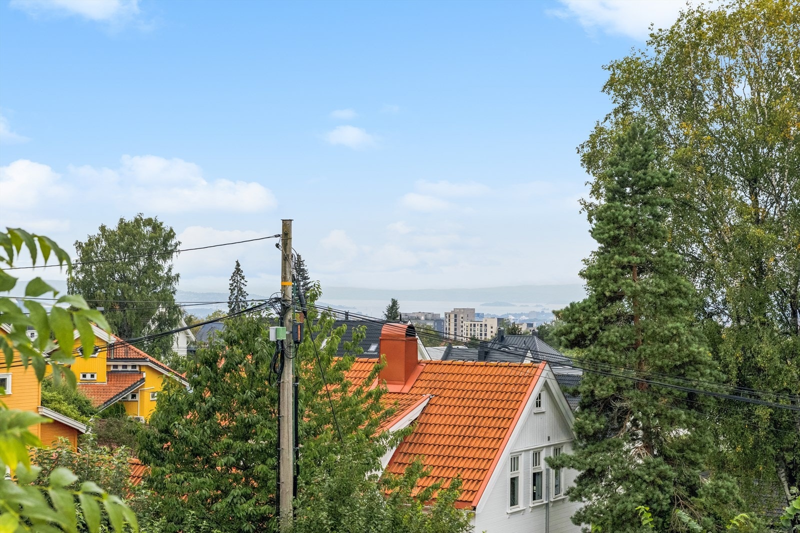 Utsikt syd Galleribilde