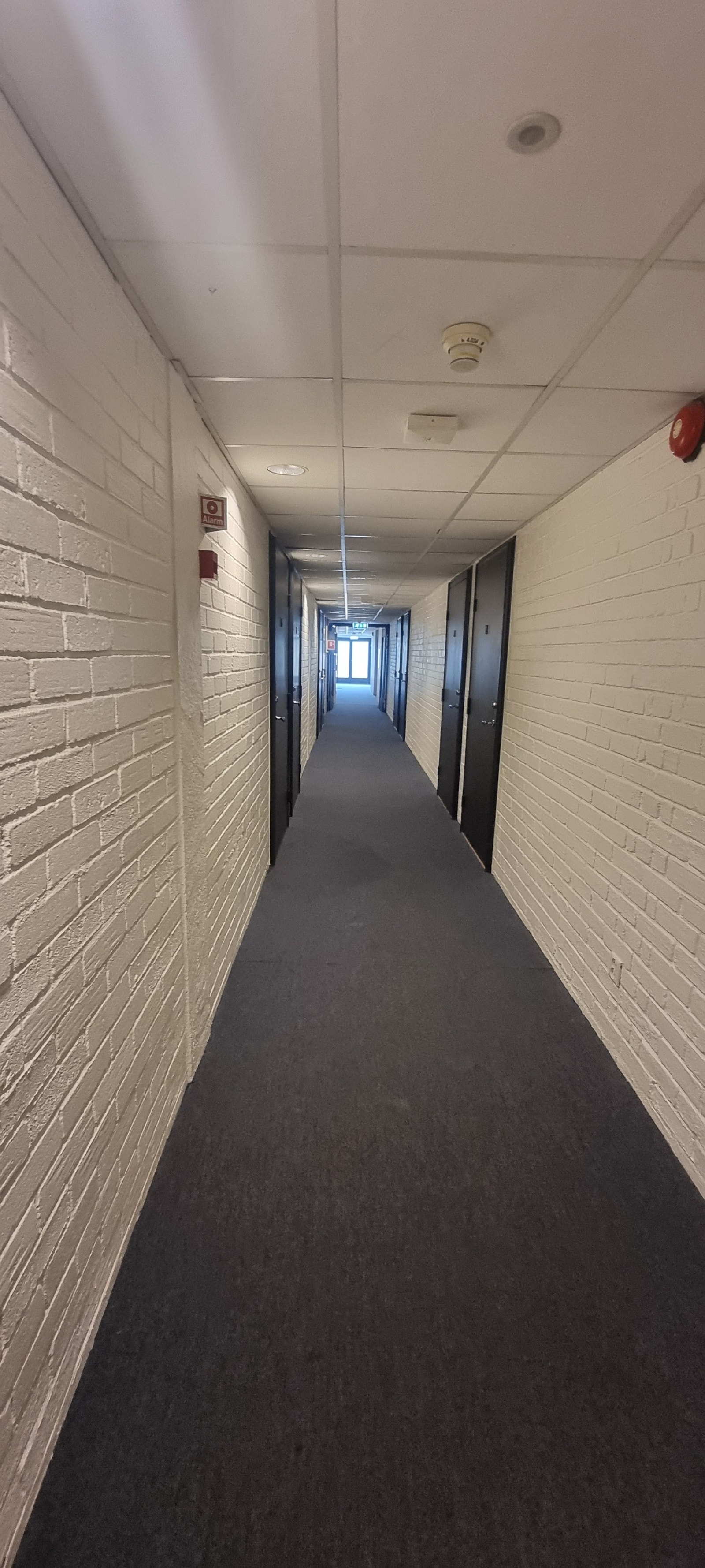 Felles gang Galleribilde