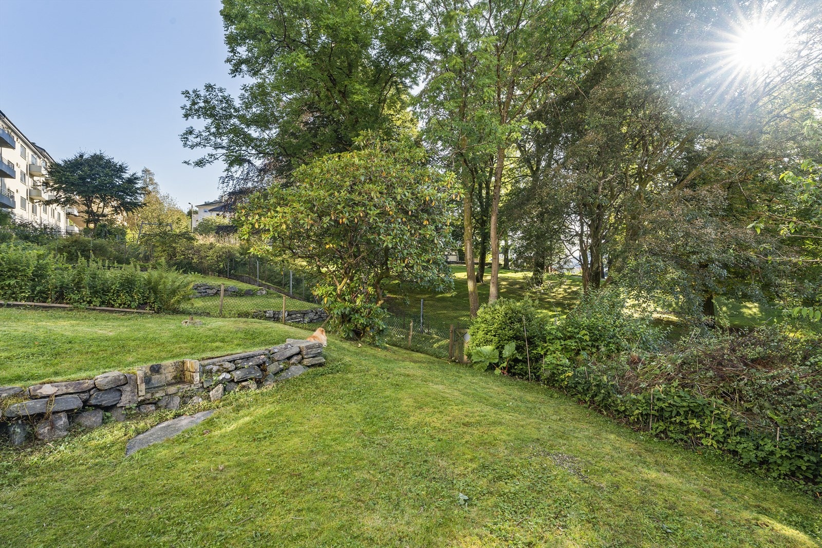 Nydelig felles hage med gode solforhold! Galleribilde