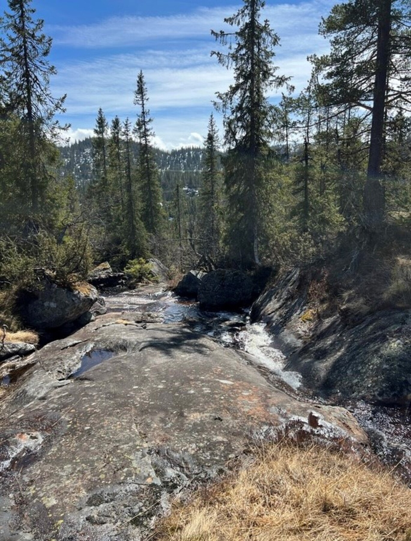 Kort avstand til klart fjellvann i bekken, eier har ikke opplevd at bekken har fryst Galleribilde