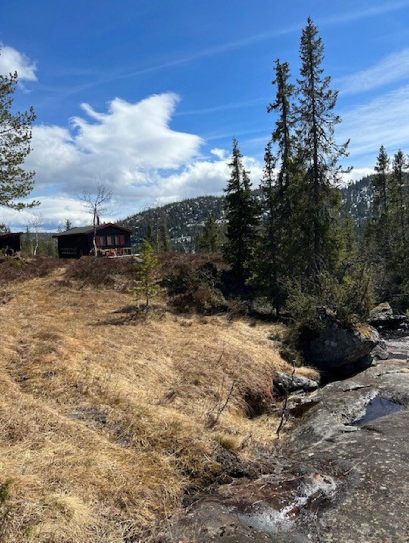 Private bilder Galleribilde