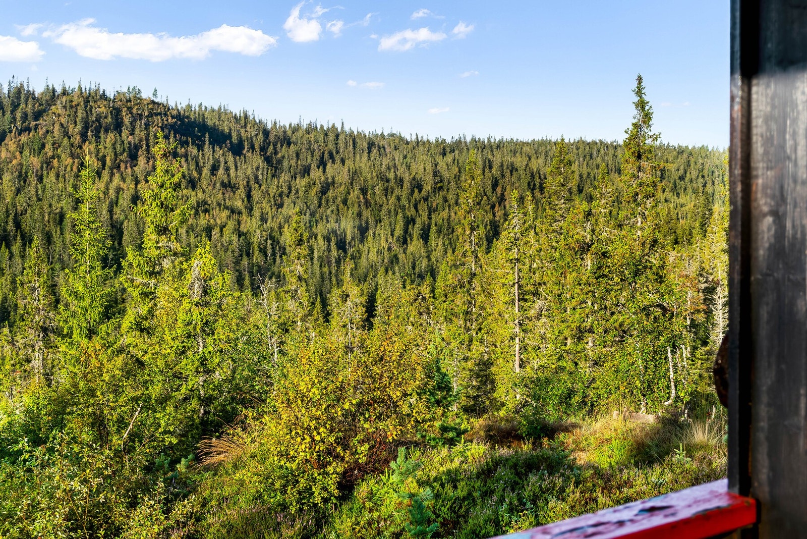 Utsikt mot Skafsåheia Galleribilde