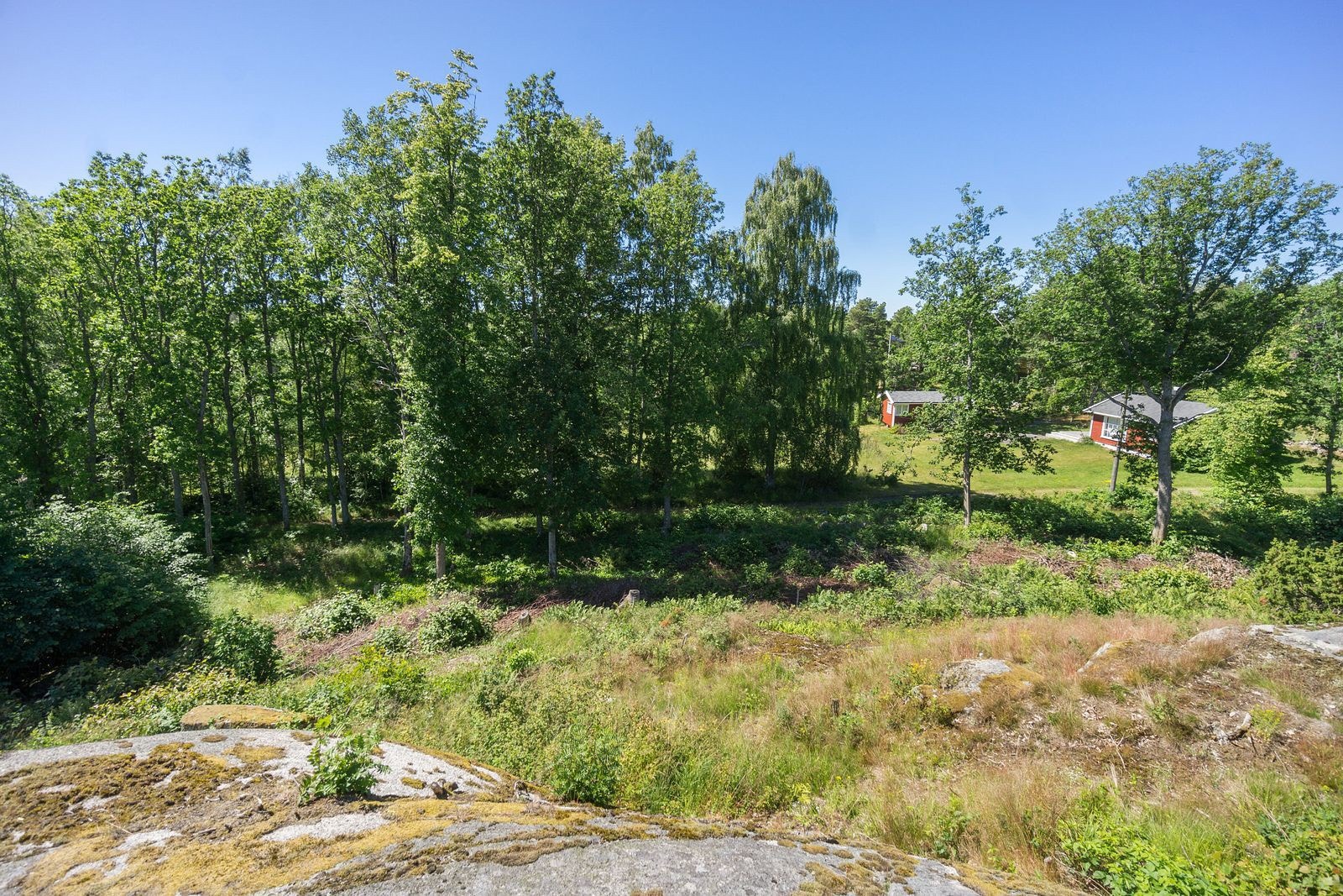 Tomten er romslig og har gode solforhold Galleribilde