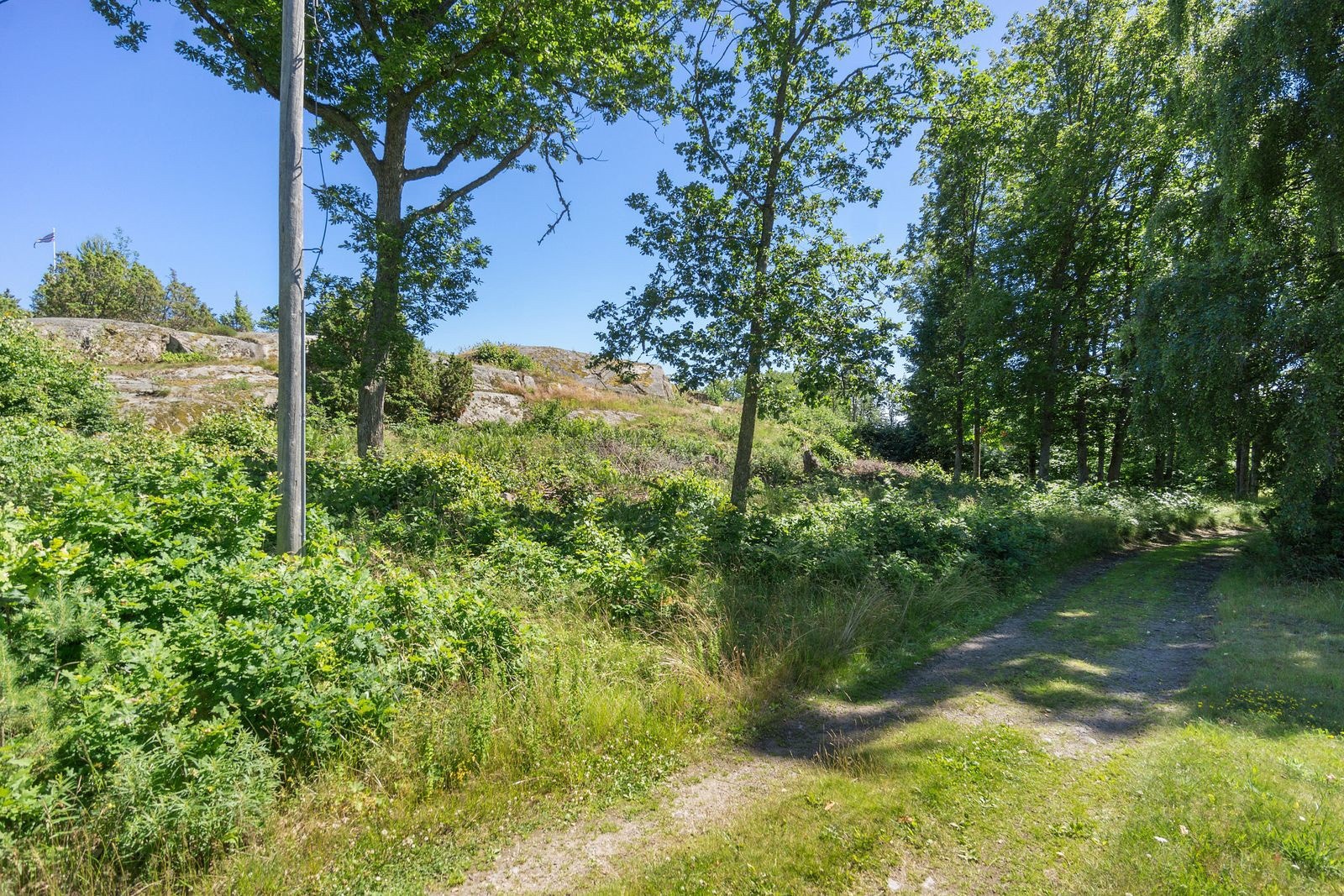 Tomten har adkomst fra Rispa. Vann og avløp ligger under veien Galleribilde