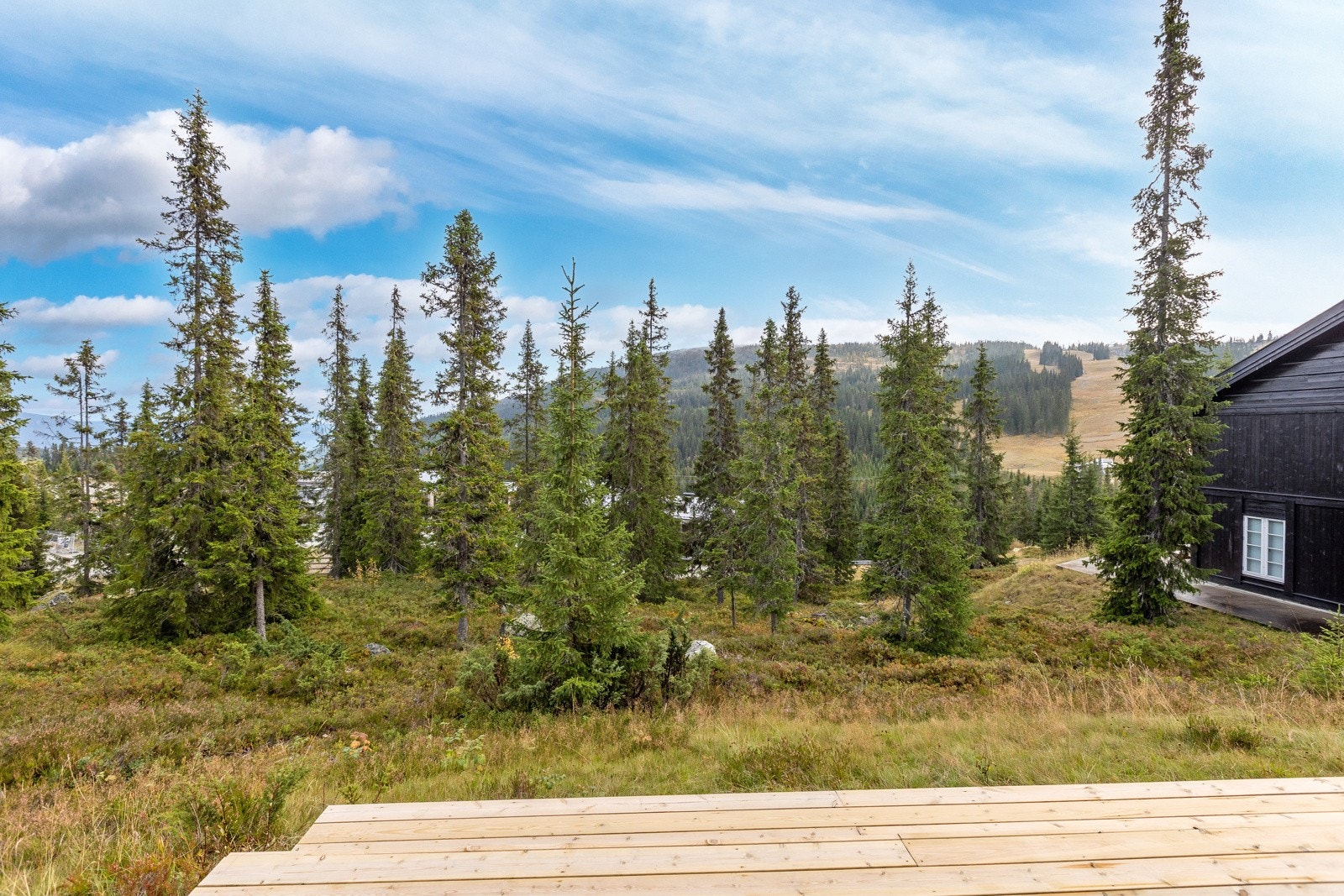 Fin utsikt over området og fjellene fra terrassen. Galleribilde