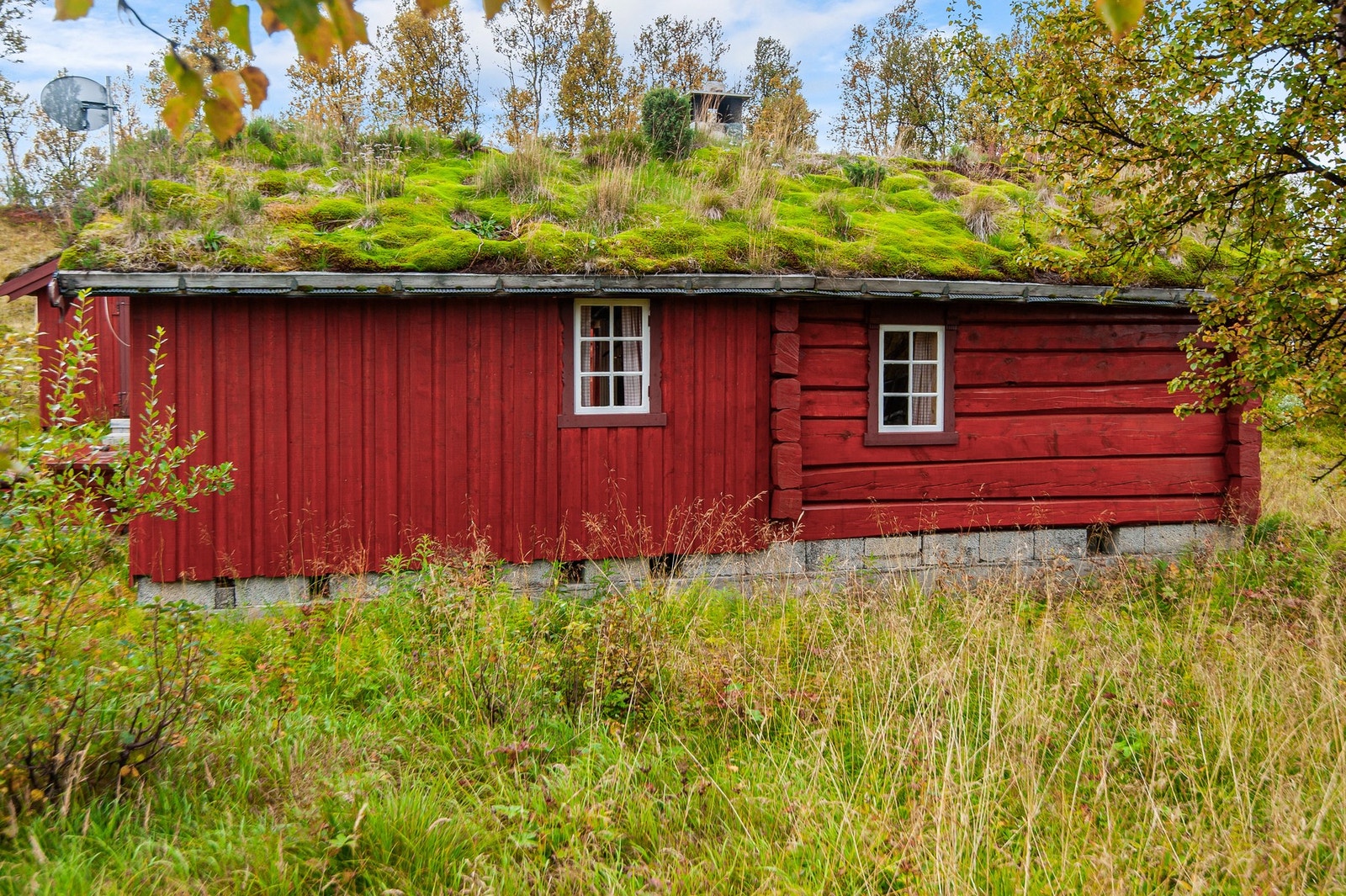 Tomten er på ca. 1 mål. Galleribilde