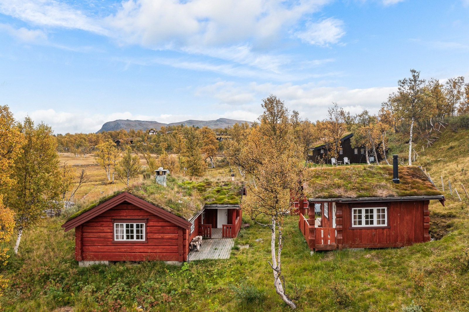 Hytta ligger i et hyggelig hytteområde ca. 30 min fra Oppdal sentrum. Galleribilde