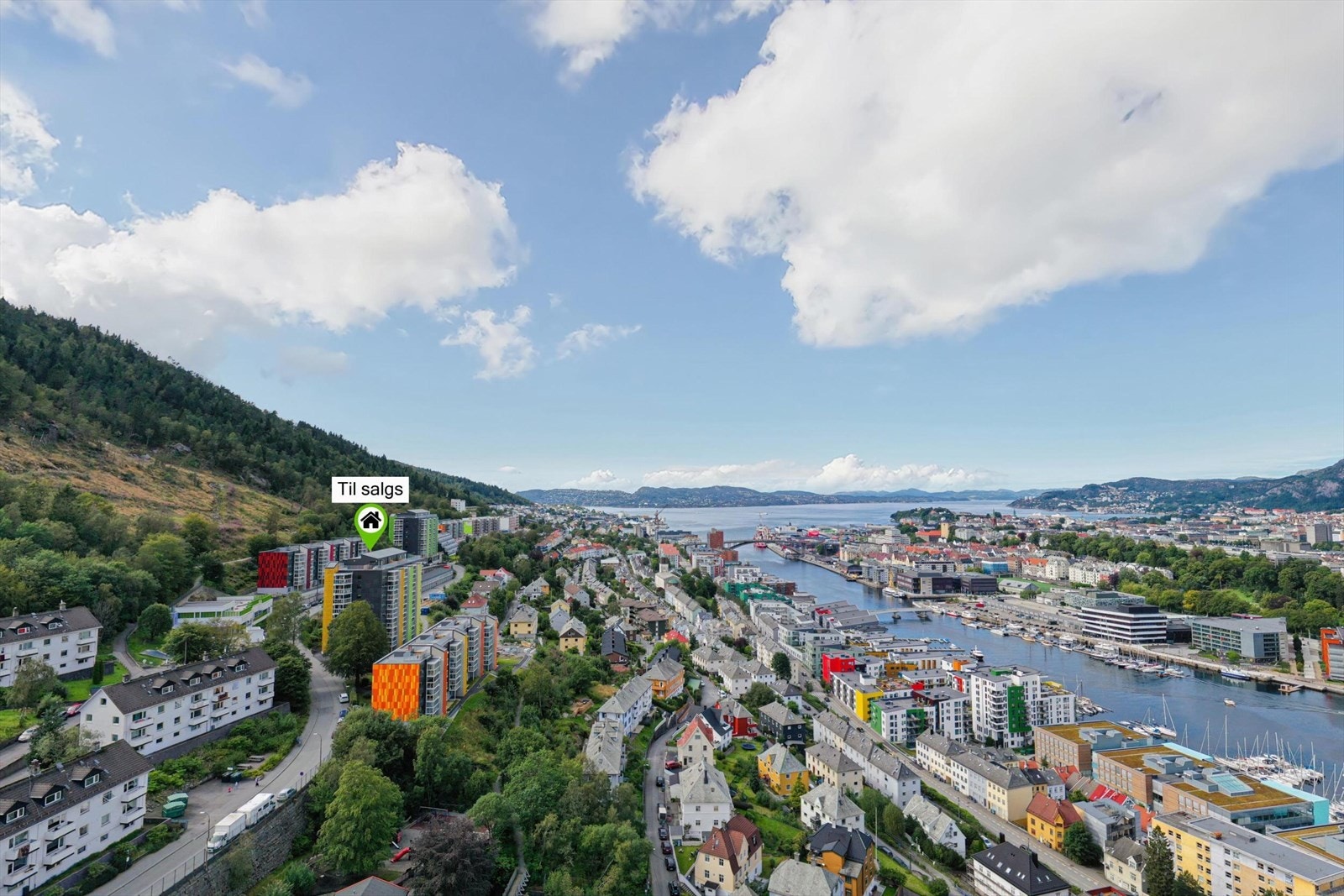 Område Galleribilde