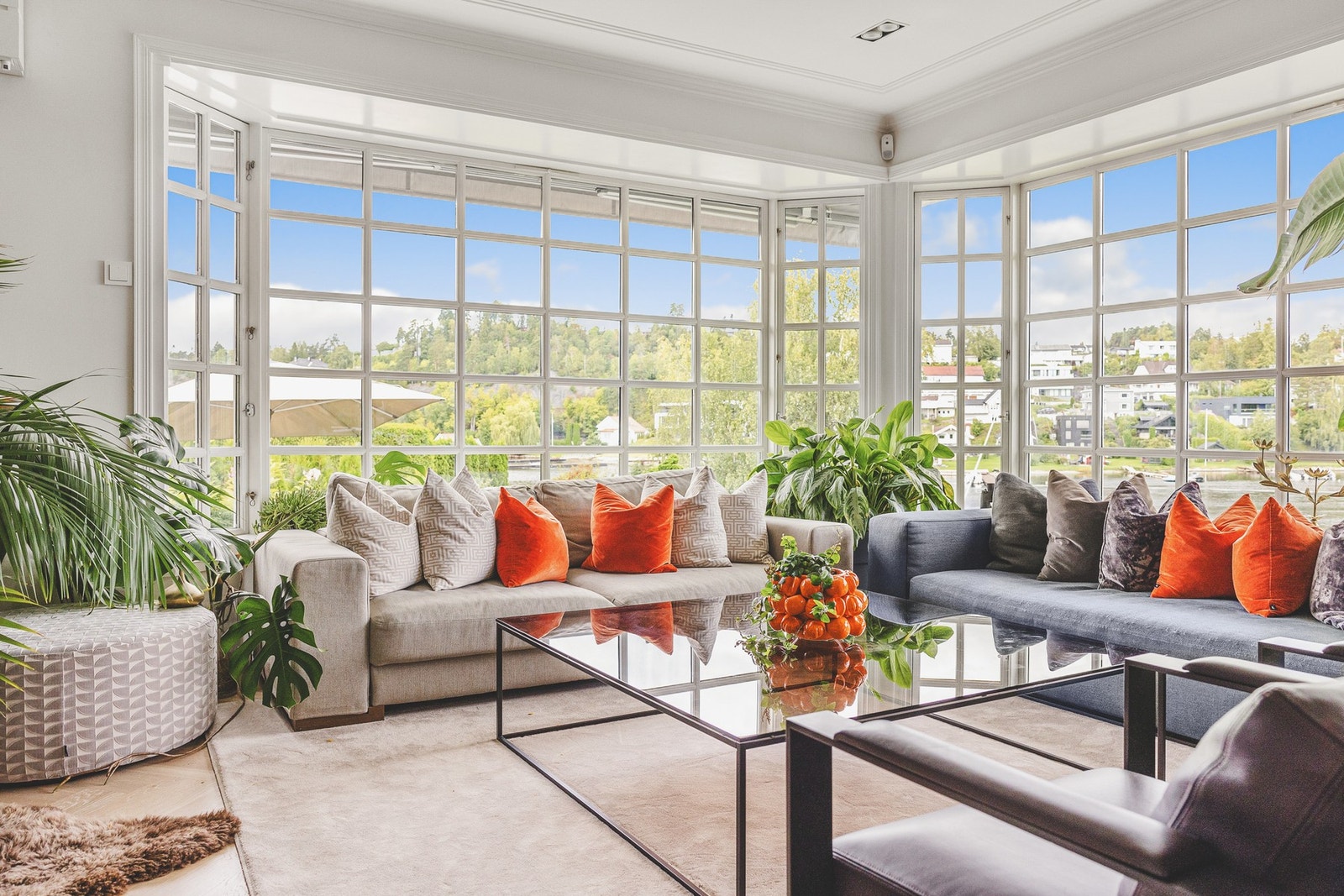 De store vinduene slipper lys og natur inn Galleribilde