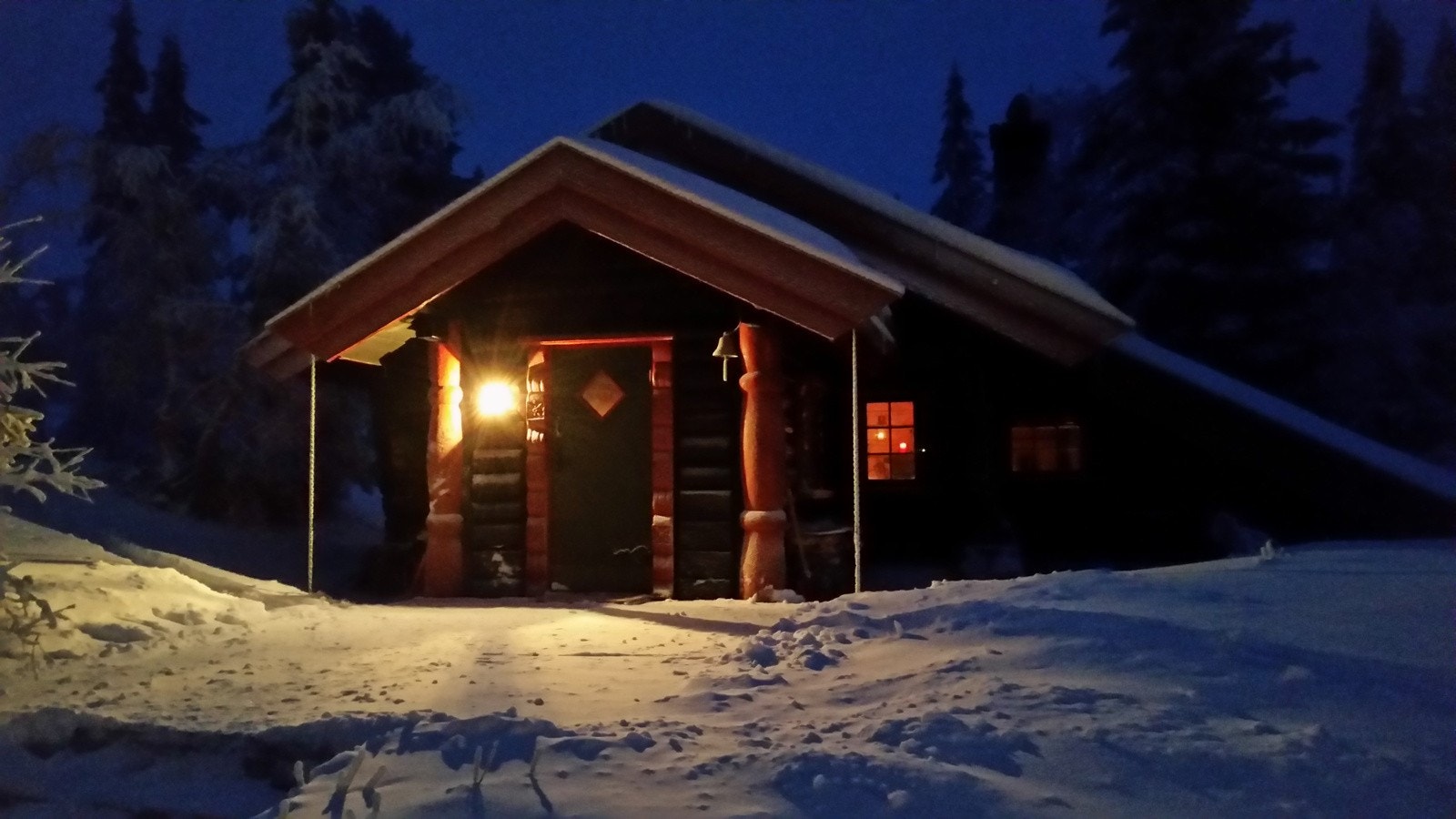 Selgers Galleribilde