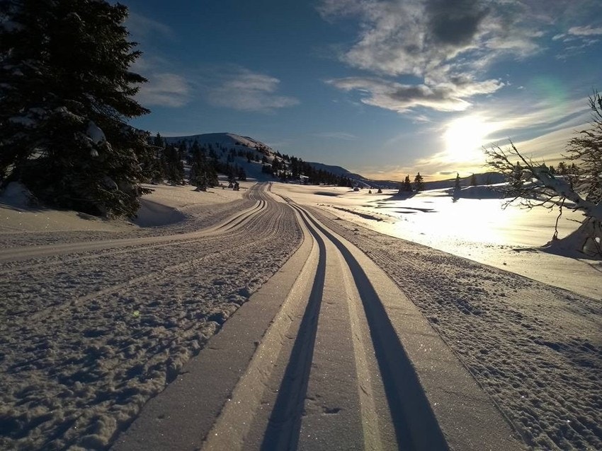 Områdebilde Galleribilde