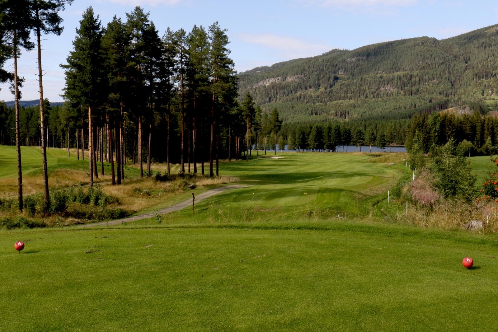 Områdebilde Golfbane Galleribilde